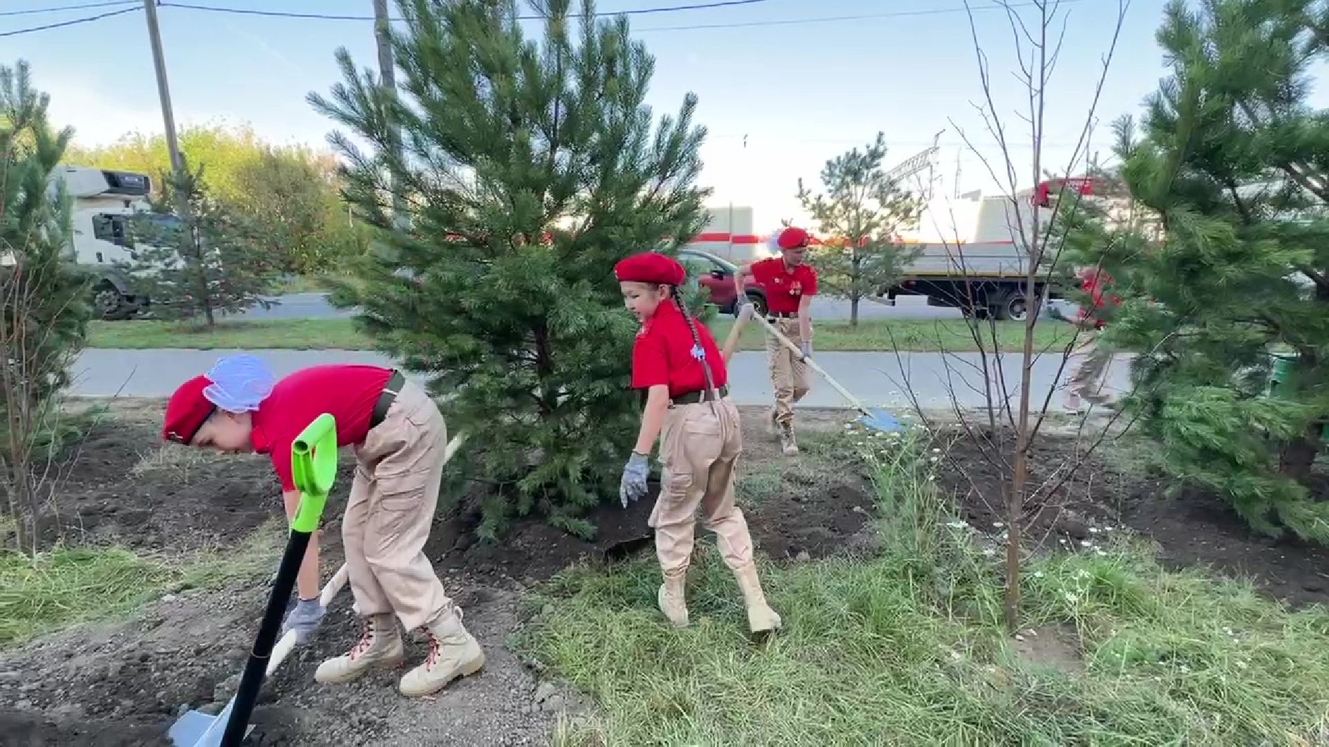 Реутов, День в лесу, посади свое дерево, высадка деревьев, кустарники, кизильник, ели, сосны, деревья,