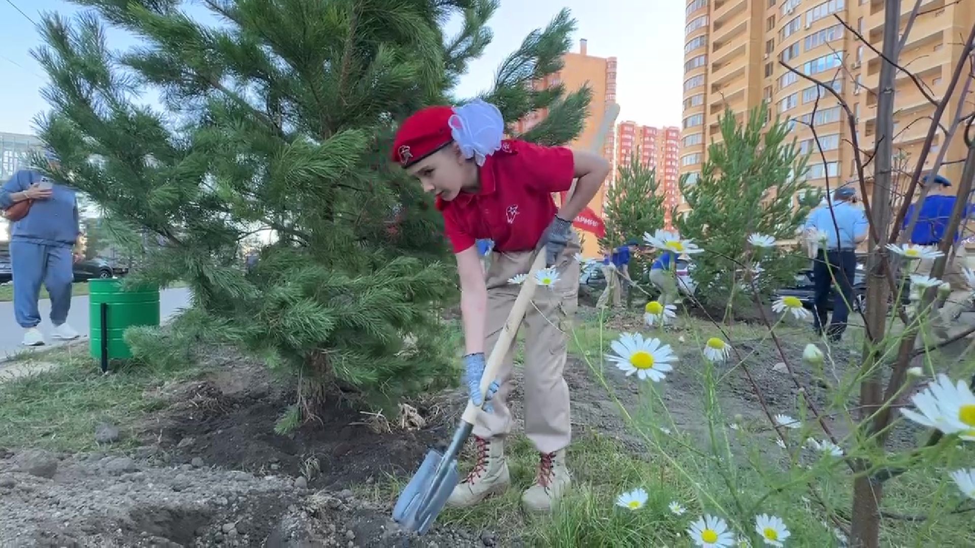 Реутов, День в лесу, посади свое дерево, высадка деревьев, кустарники, кизильник, ели, сосны, деревья,