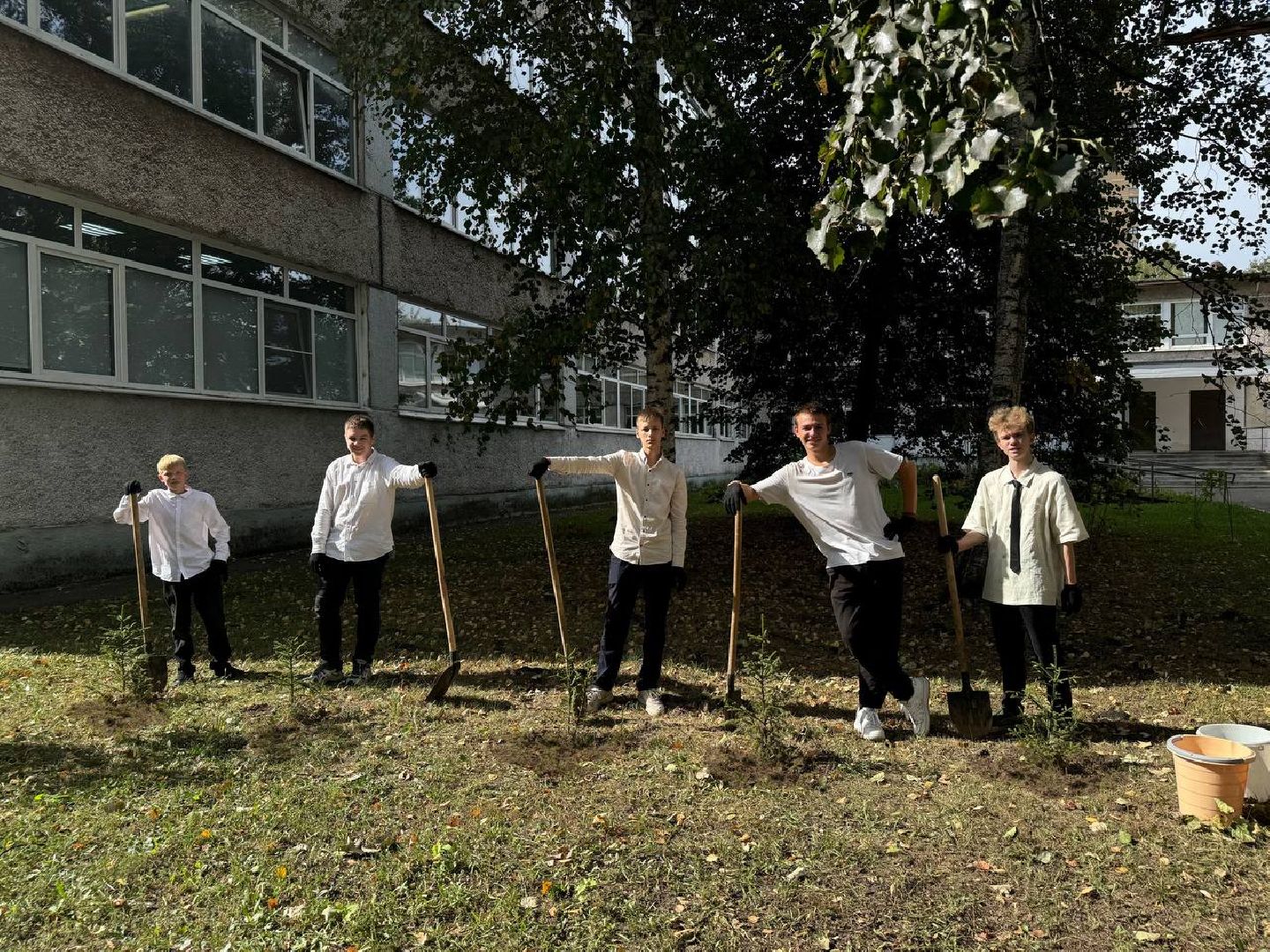 Реутов, День в лесу, посади свое дерево, высадка деревьев, кустарники, кизильник, ели, сосны, деревья,