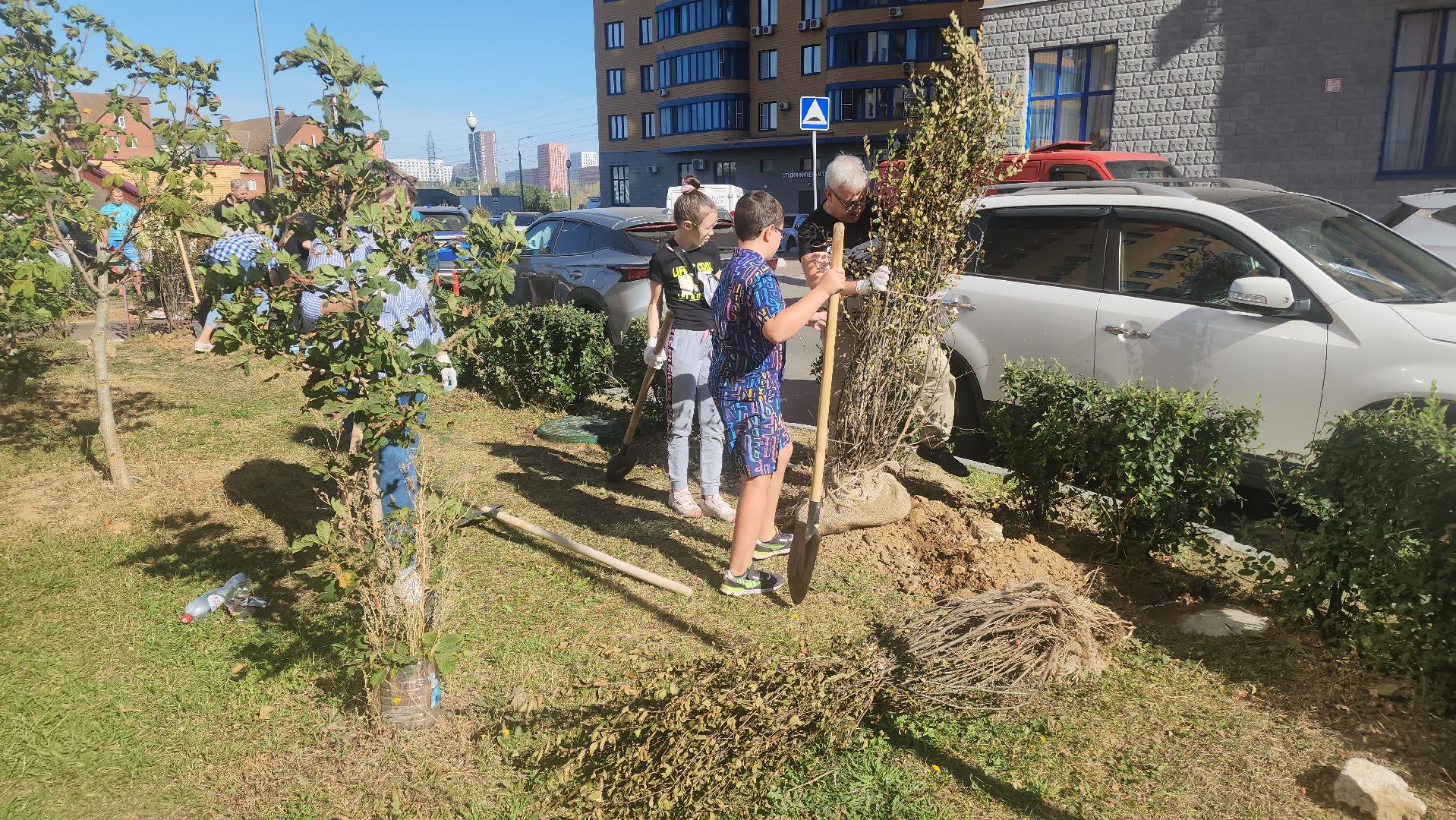 Реутов, День в лесу, посади свое дерево, высадка деревьев, кустарники, кизильник, ели, сосны, деревья,