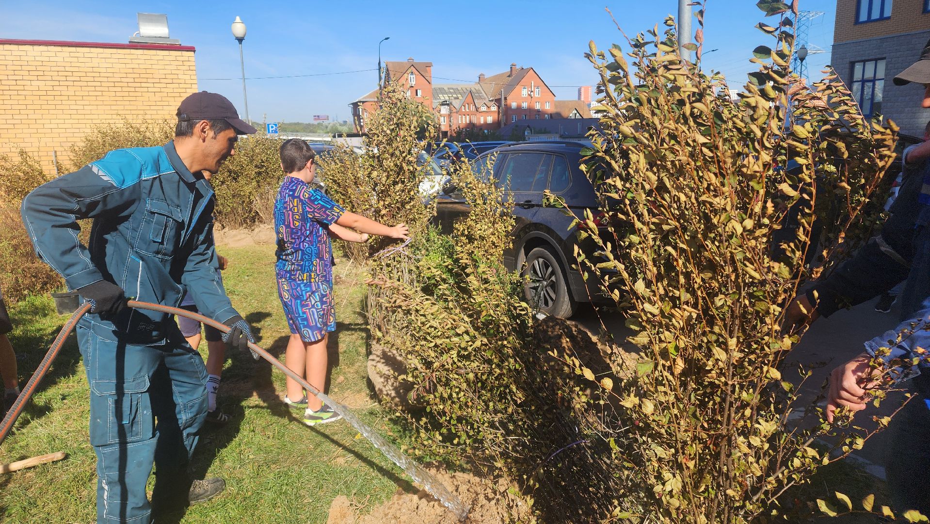 Реутов, День в лесу, посади свое дерево, высадка деревьев, кустарники, кизильник, ели, сосны, деревья,