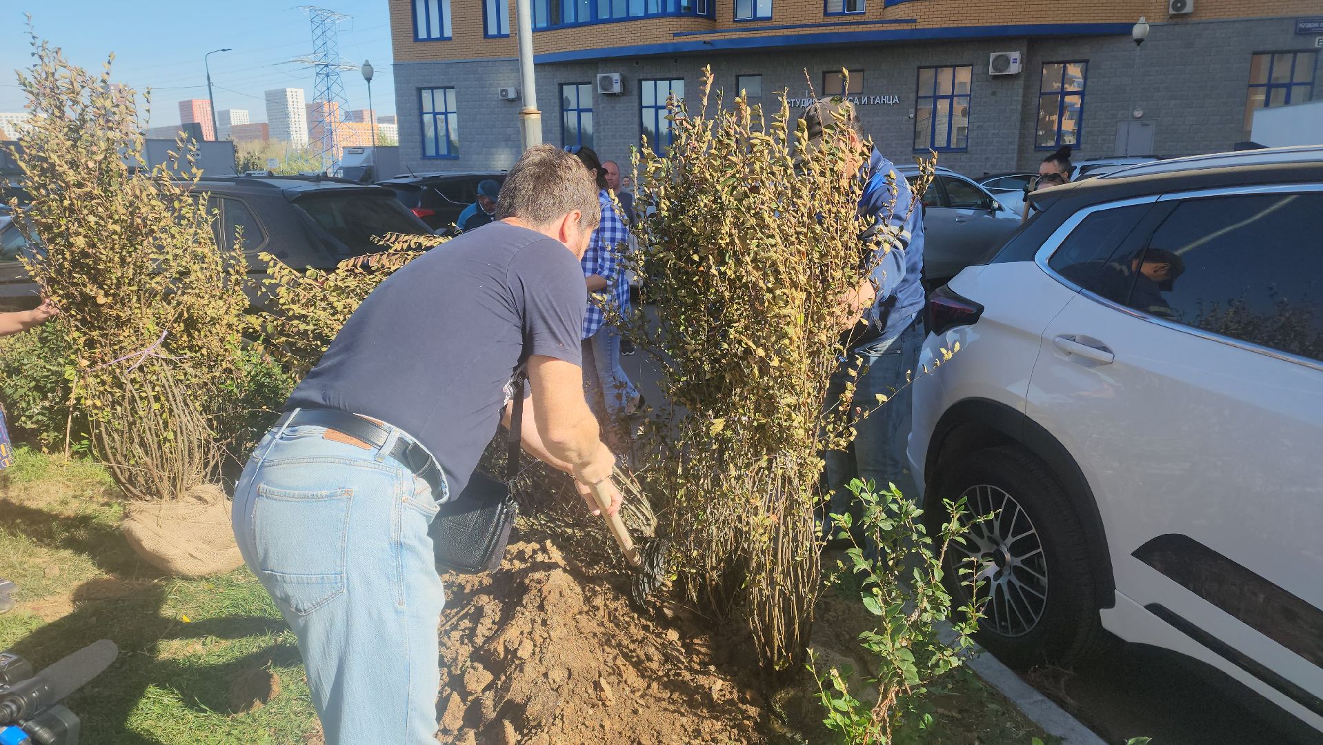 Реутов, День в лесу, посади свое дерево, высадка деревьев, кустарники, кизильник, ели, сосны, деревья,