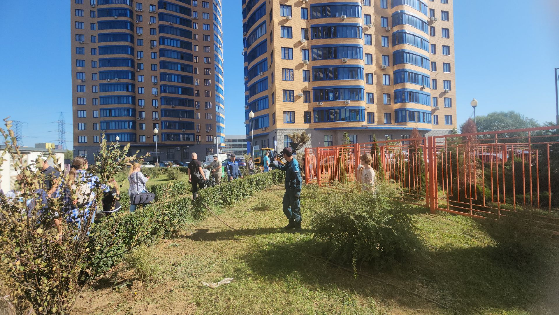 Реутов, День в лесу, посади свое дерево, высадка деревьев, кустарники, кизильник, ели, сосны, деревья,