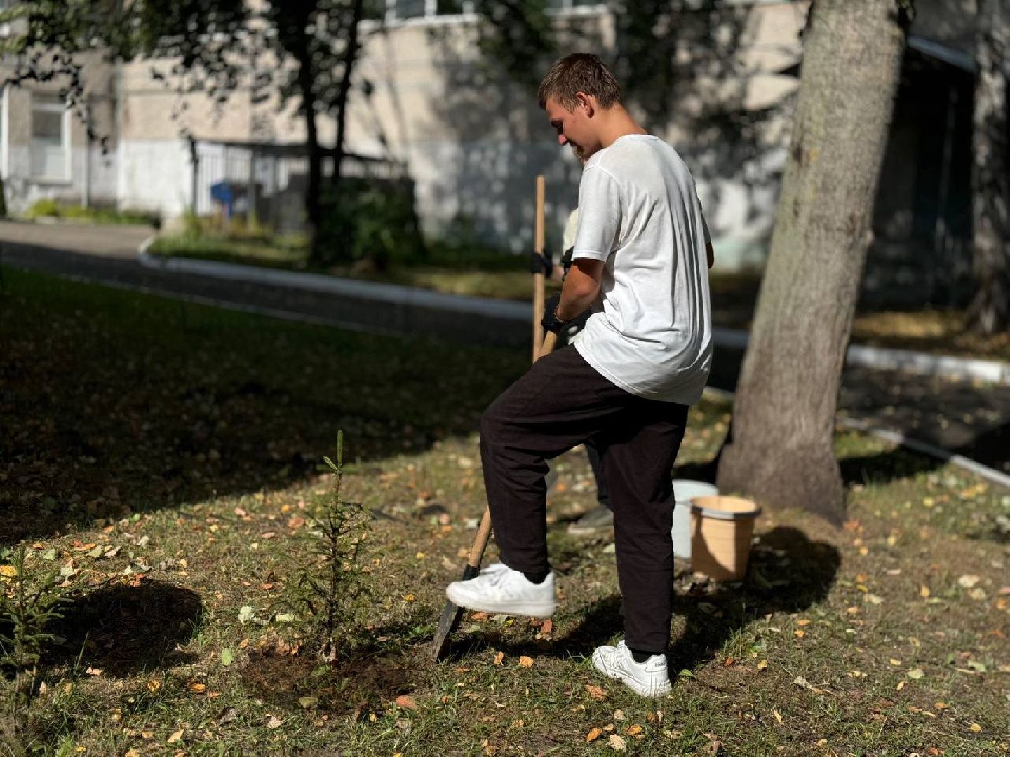 Реутов, День в лесу, посади свое дерево, высадка деревьев, кустарники, кизильник, ели, сосны, деревья,