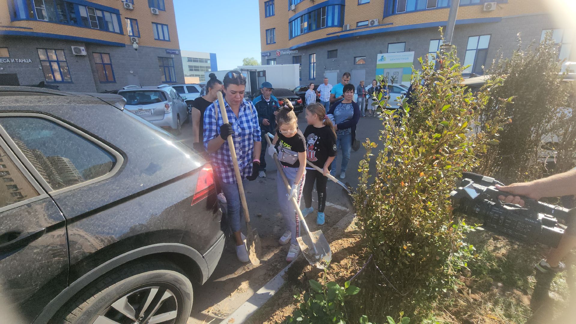 Реутов, День в лесу, посади свое дерево, высадка деревьев, кустарники, кизильник, ели, сосны, деревья,