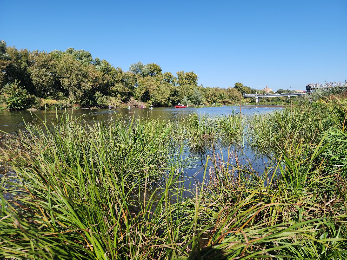сплав, сплав на сапбордах, орехово зуево, день города 2024,