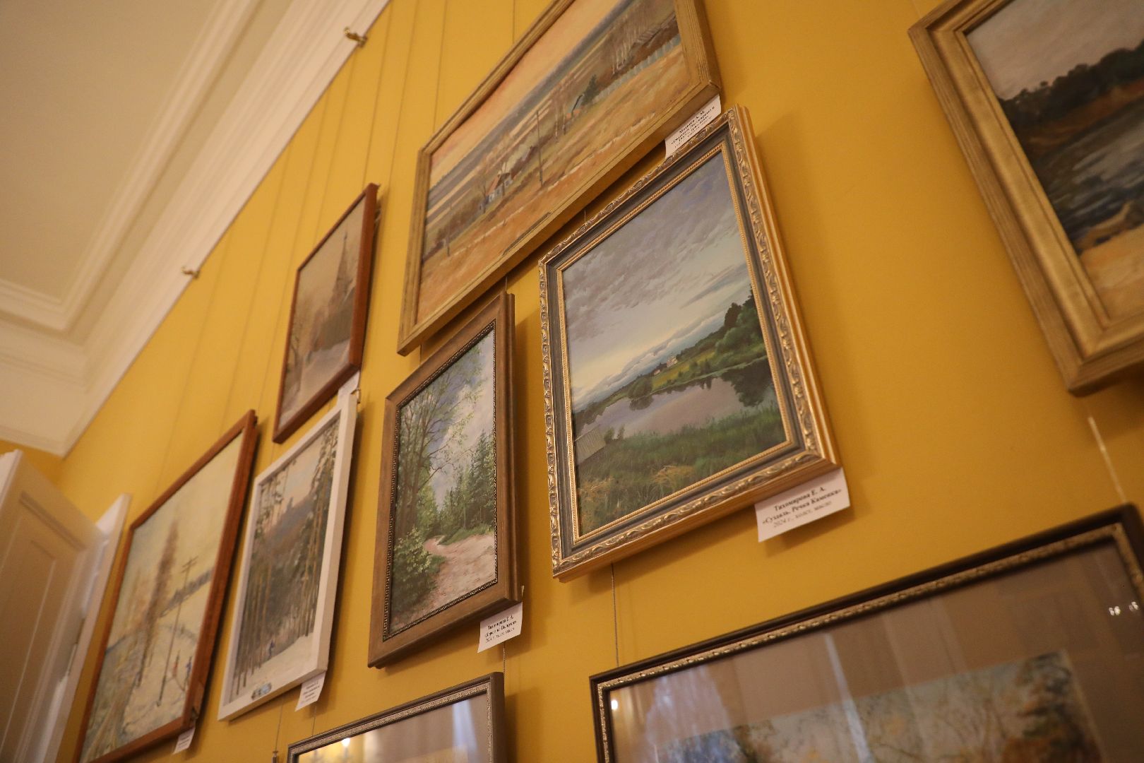 лыткарино день города, день города 2024, лыткаринский музей,