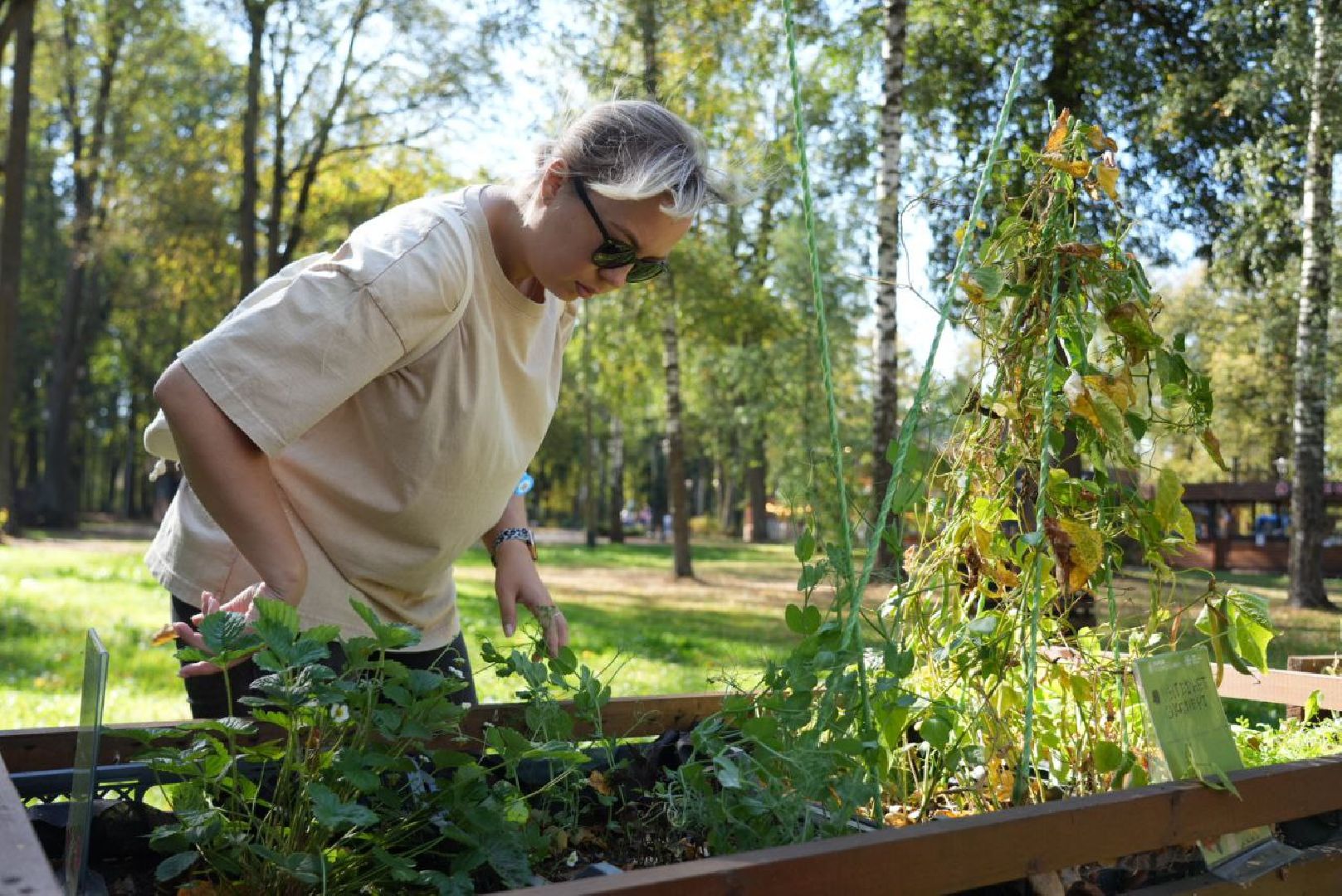 Парки Подмосковье, Парки МО, Скитские пруды, Сергиев Посад, Общественный огород,