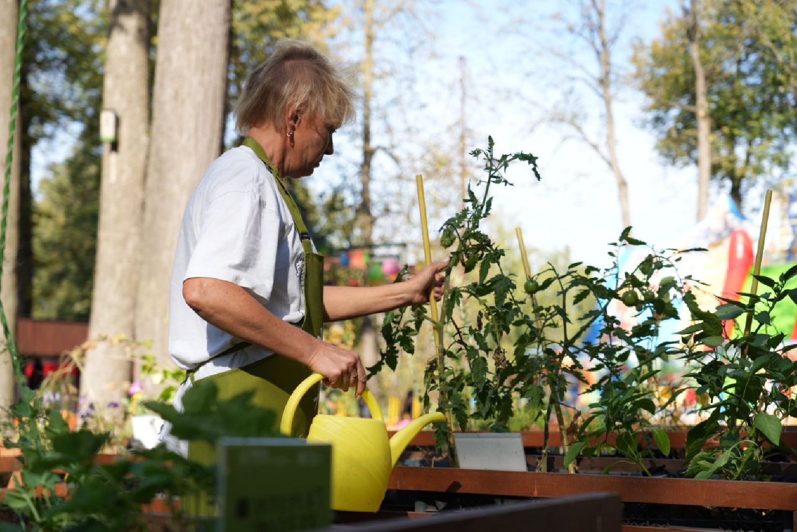 Парки Подмосковье, Парки МО, Скитские пруды, Сергиев Посад, Общественный огород,