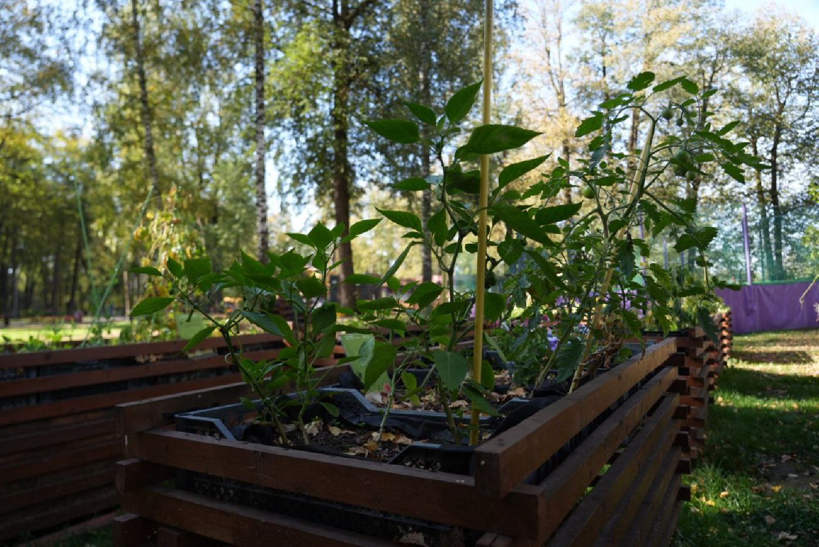 Парки Подмосковье, Парки МО, Скитские пруды, Сергиев Посад, Общественный огород,