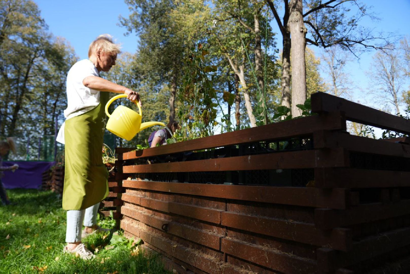 Парки Подмосковье, Парки МО, Скитские пруды, Сергиев Посад, Общественный огород,