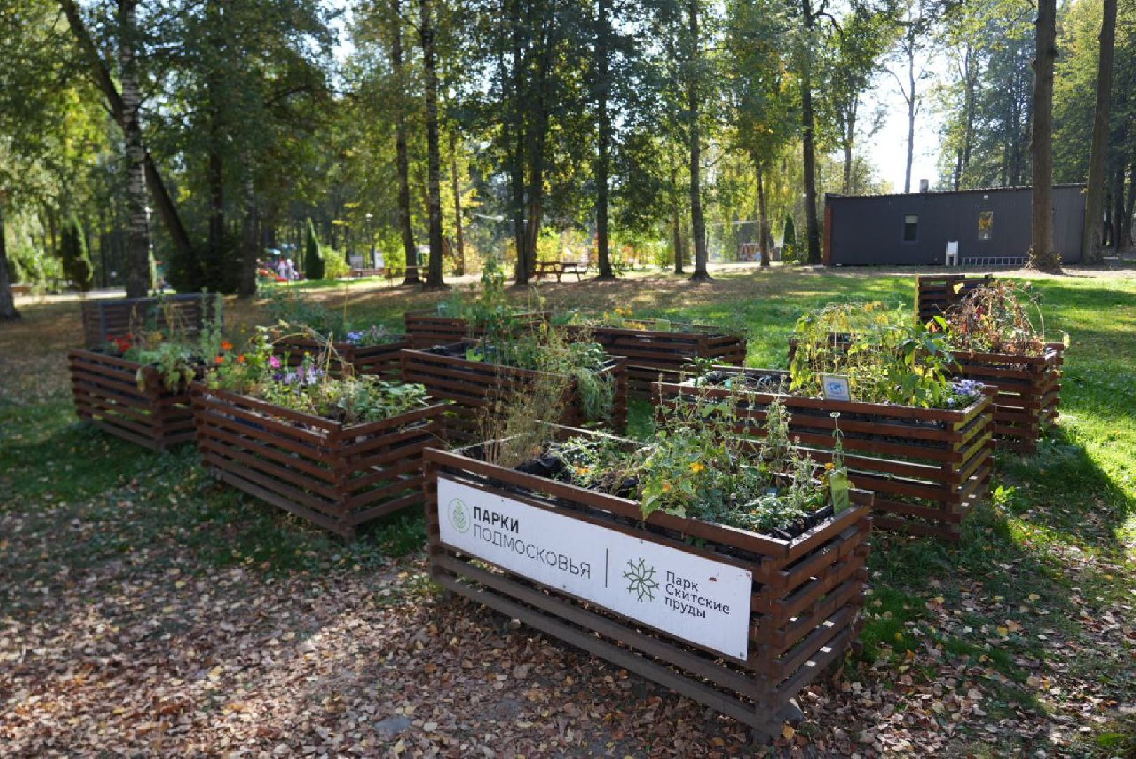 Парки Подмосковье, Парки МО, Скитские пруды, Сергиев Посад, Общественный огород,