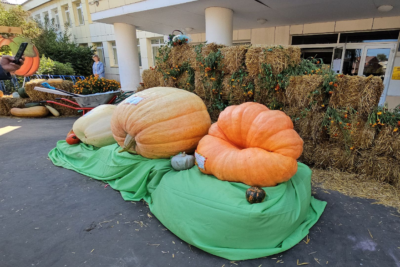 луховицы, фестиваль тыкв, сельское хозяйство, урожай 2024,