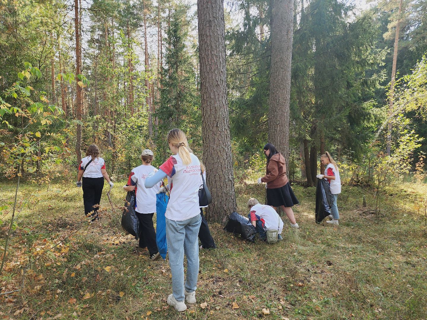 экология, акция, чистый лес, волонтеры, Подмосковье, Егорьевск, Московская область,