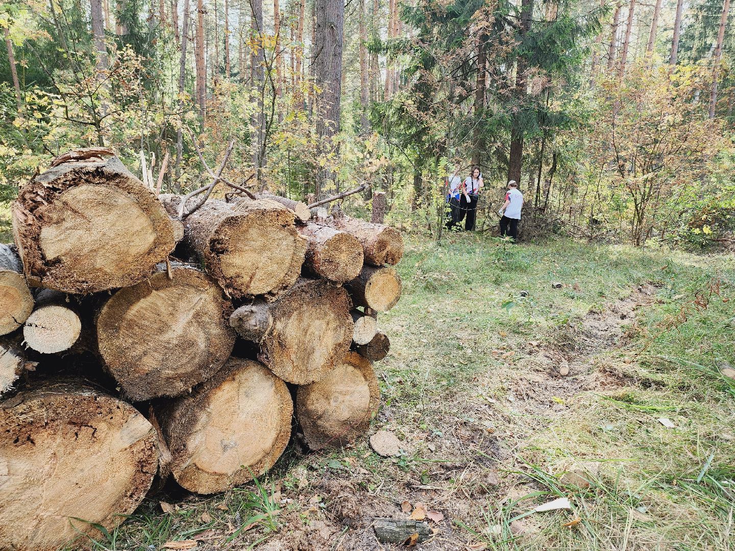 экология, акция, чистый лес, волонтеры, Подмосковье, Егорьевск, Московская область,