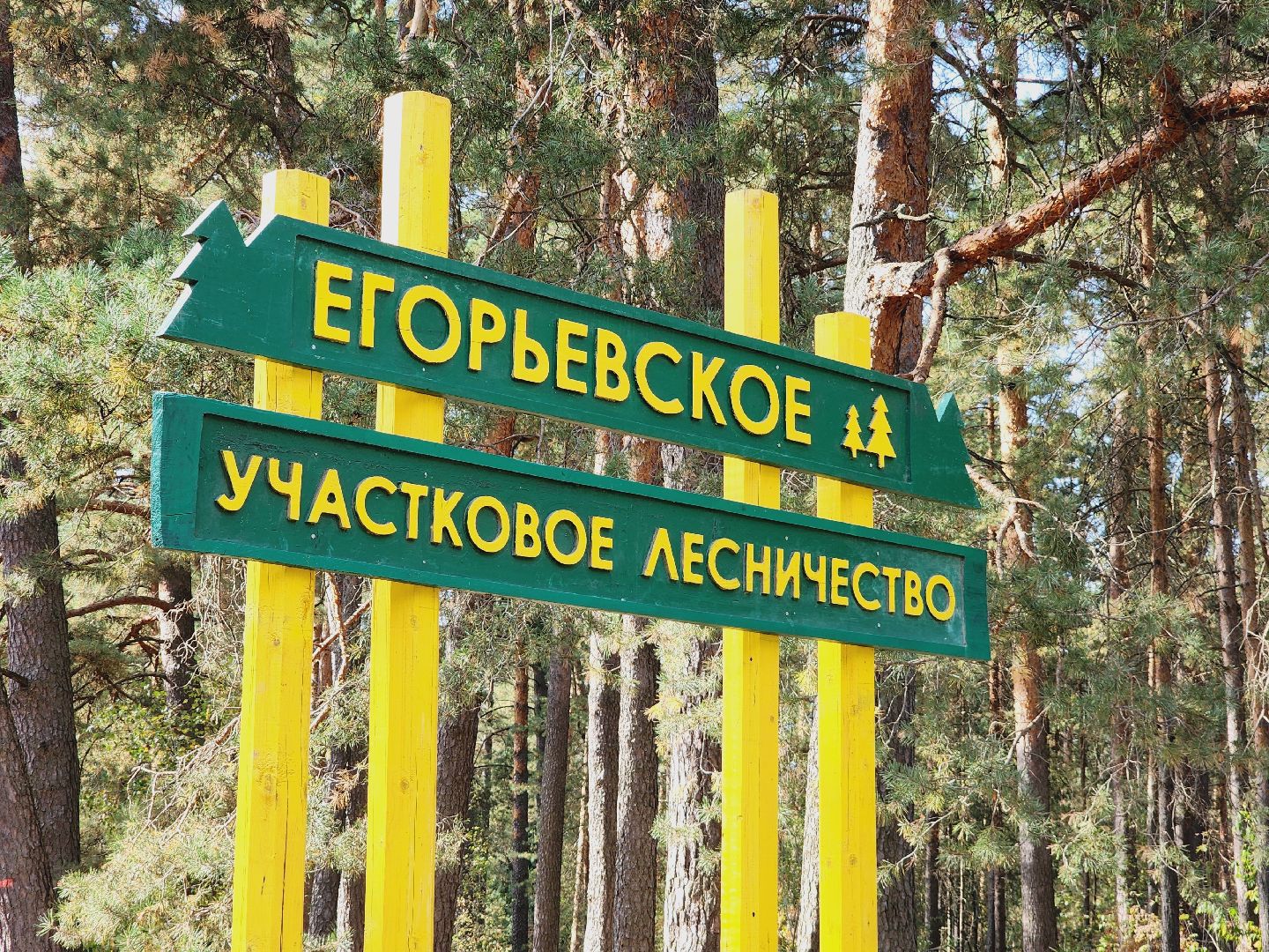 экология, акция, чистый лес, волонтеры, Подмосковье, Егорьевск, Московская область,