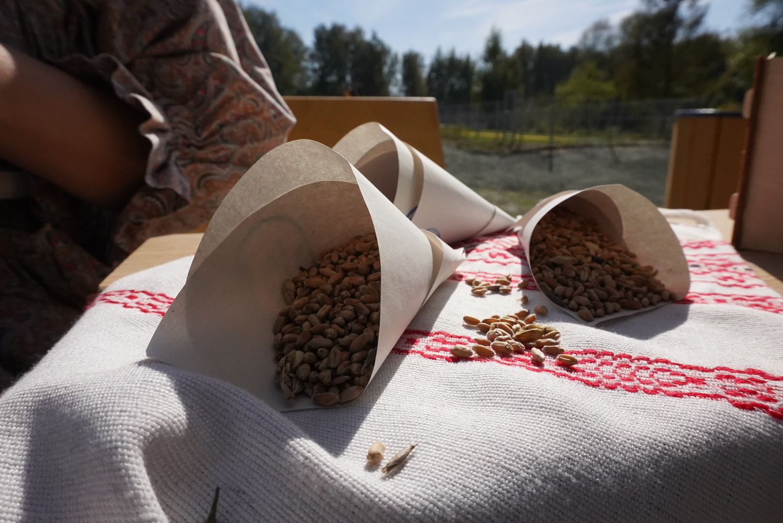 Павловский Посад, городской округ павловский посад, парк, Меленки, открытие, жители,