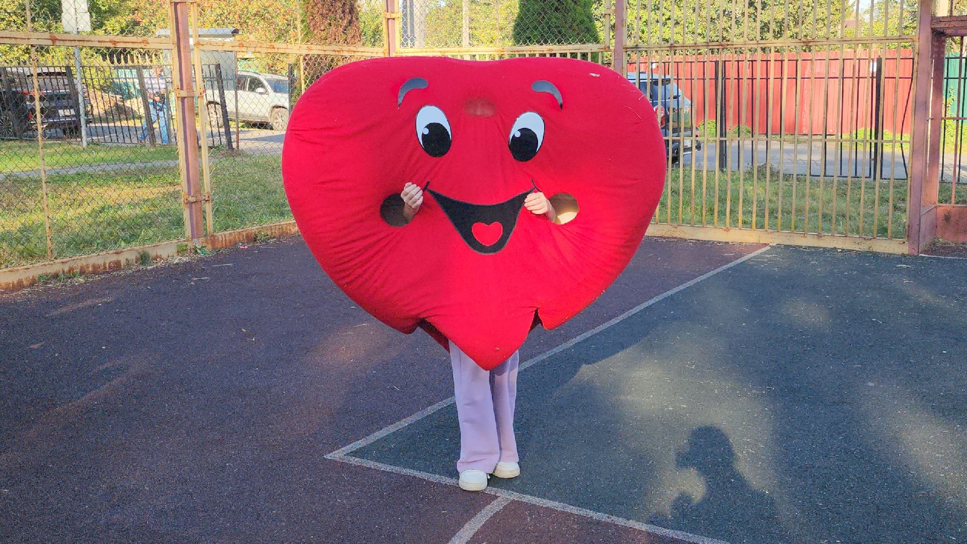 день города,