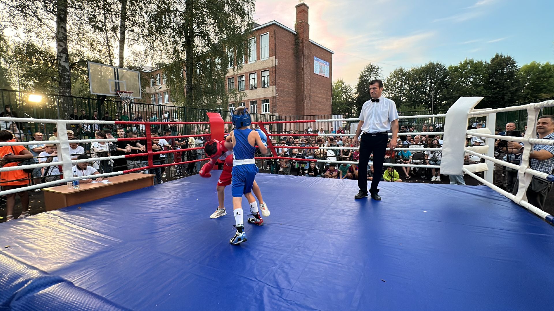 Клин, спорт, бокс, соревнования,