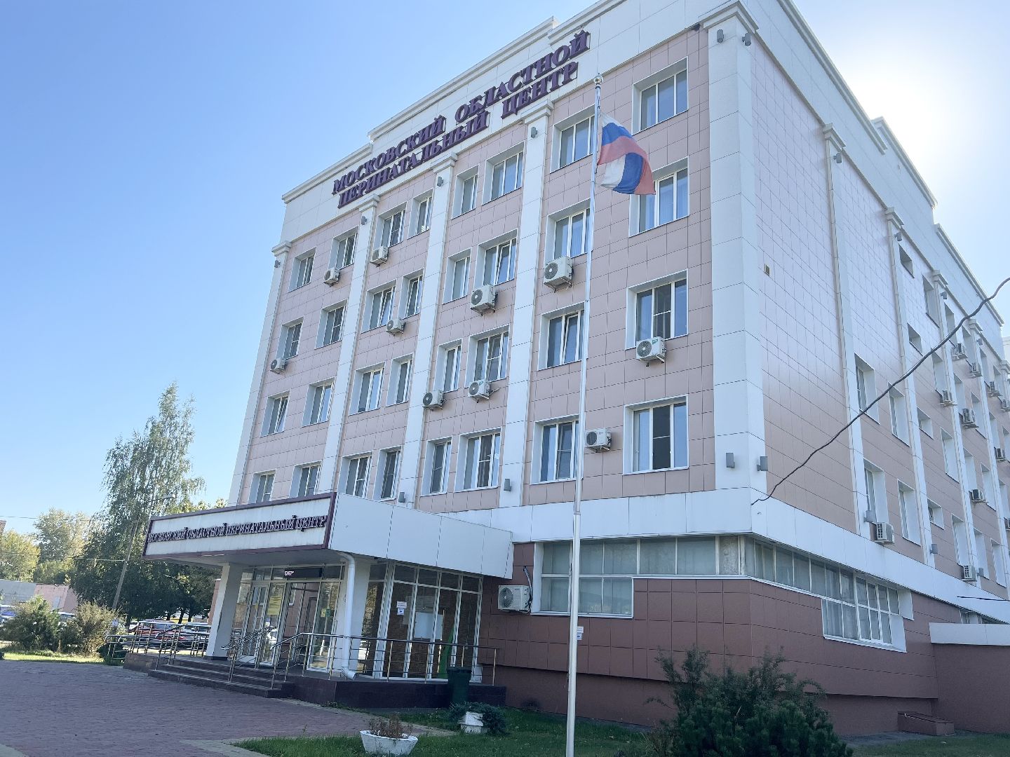 Балашиха, Подмосковье, московский областной перинатальный центр, Премия Репродуктивное завтра России», Спасение новорожденных,