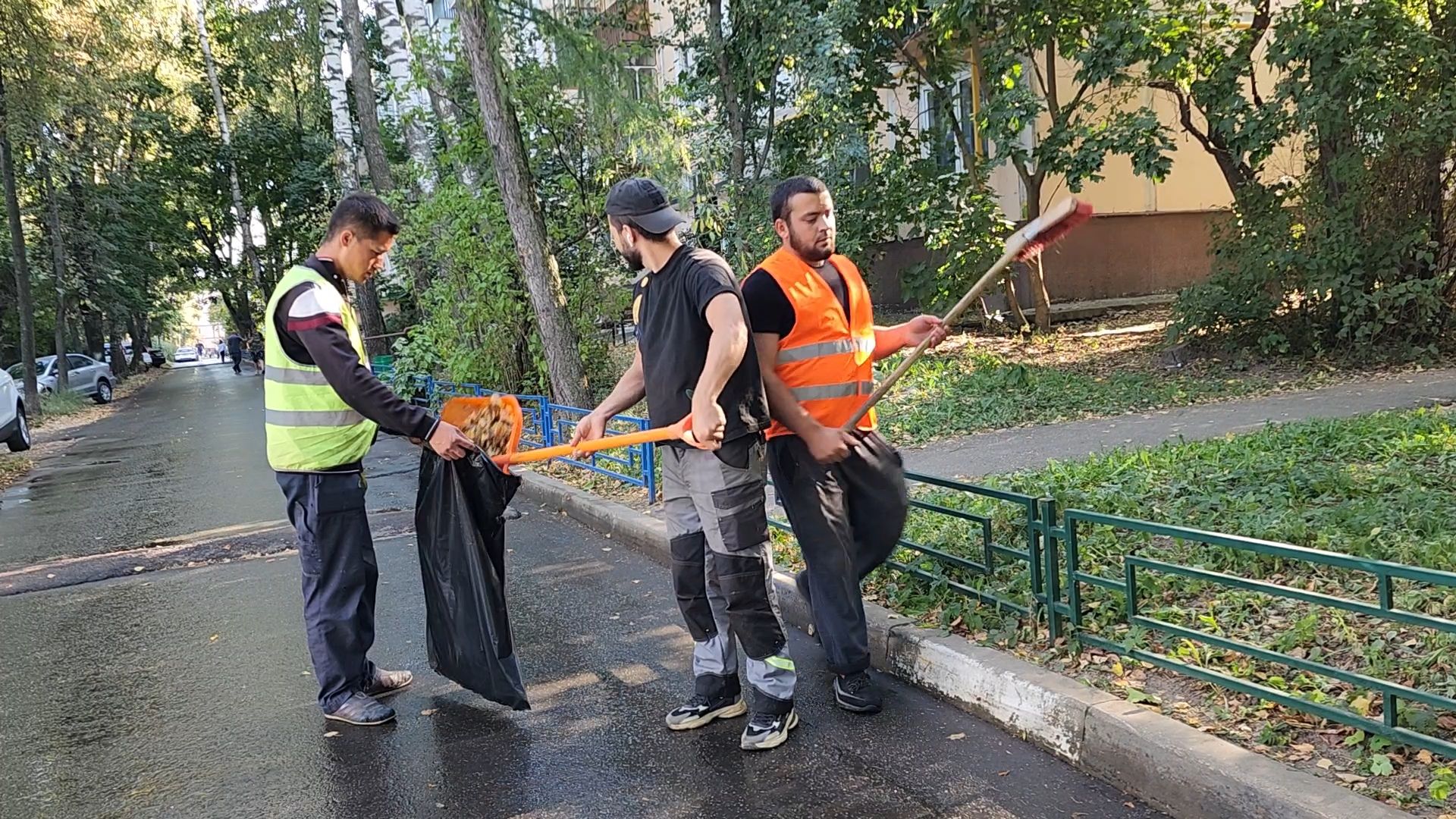 Бронницы, Уборка дворов, Осенняя уборка дворов, Благоустройство,