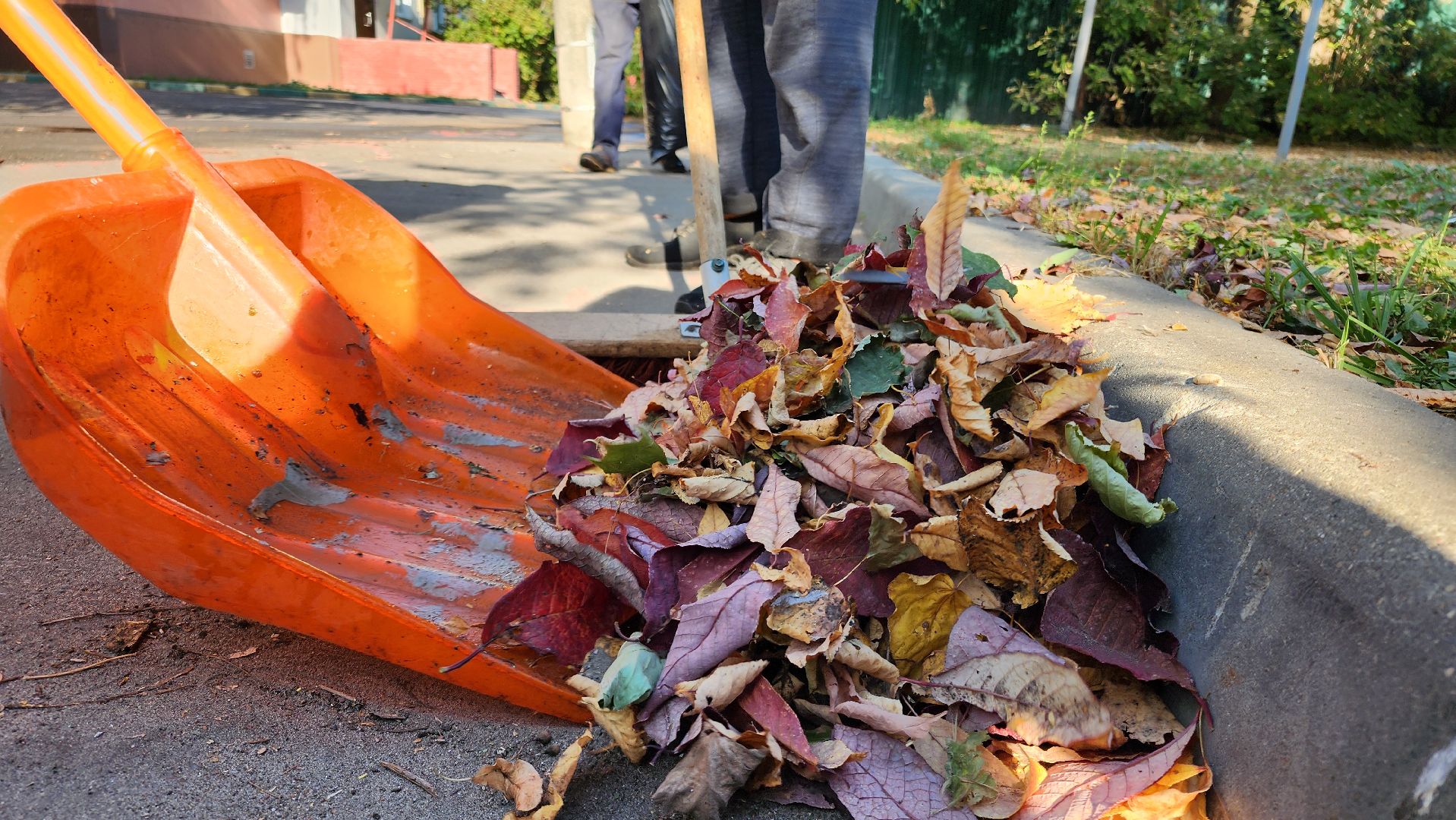 Бронницы, Уборка дворов, Осенняя уборка дворов, Благоустройство,