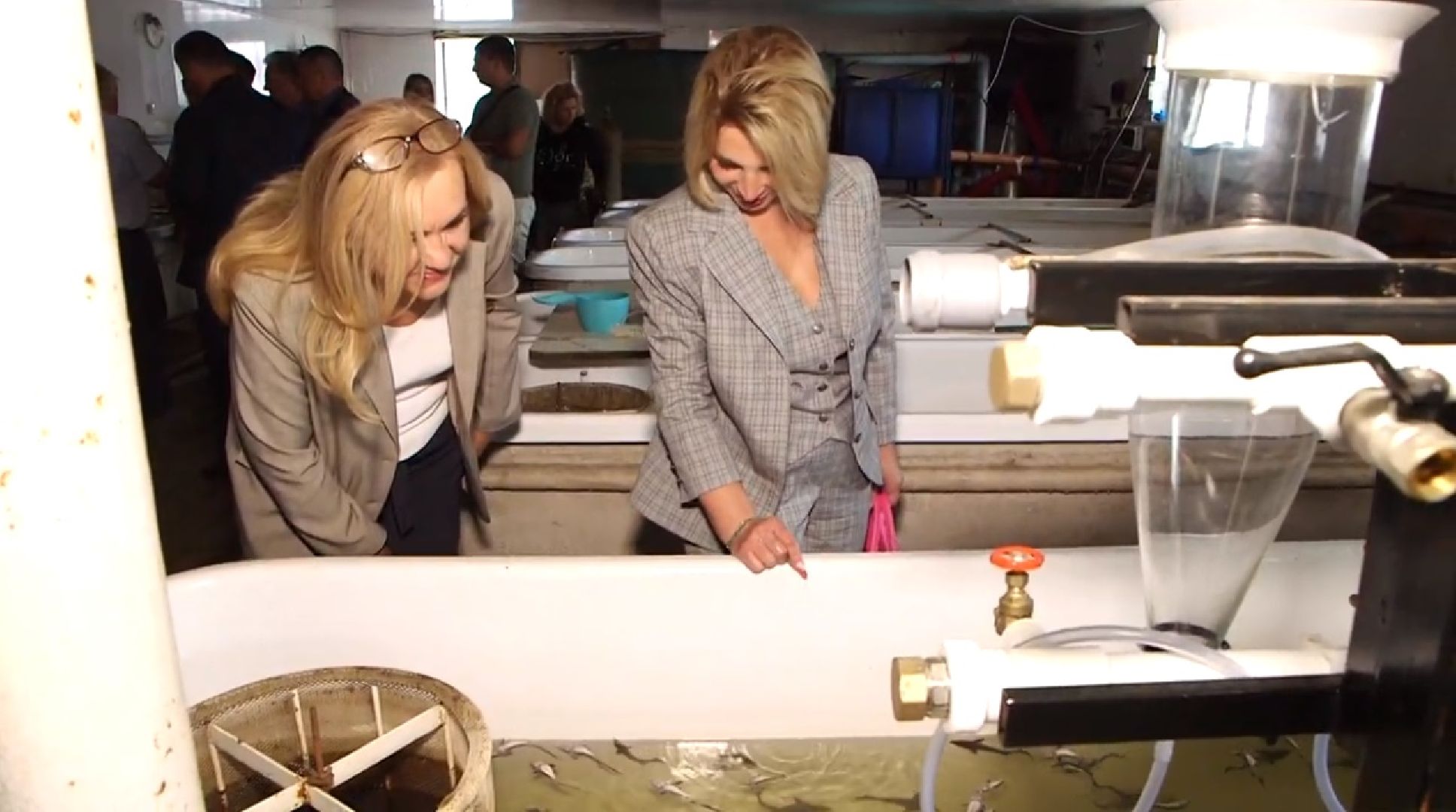 Дмитров, ДМТПП, Дмитровский рыбохозяйственный институт,