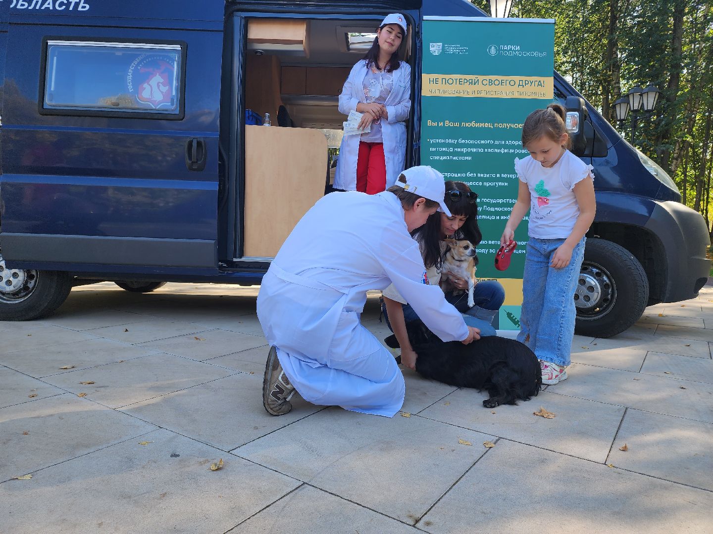 наро-фоминск, наро-фоминский городской округ, ветеринарная служба, вакцинация животных, чипирование домашних животных,