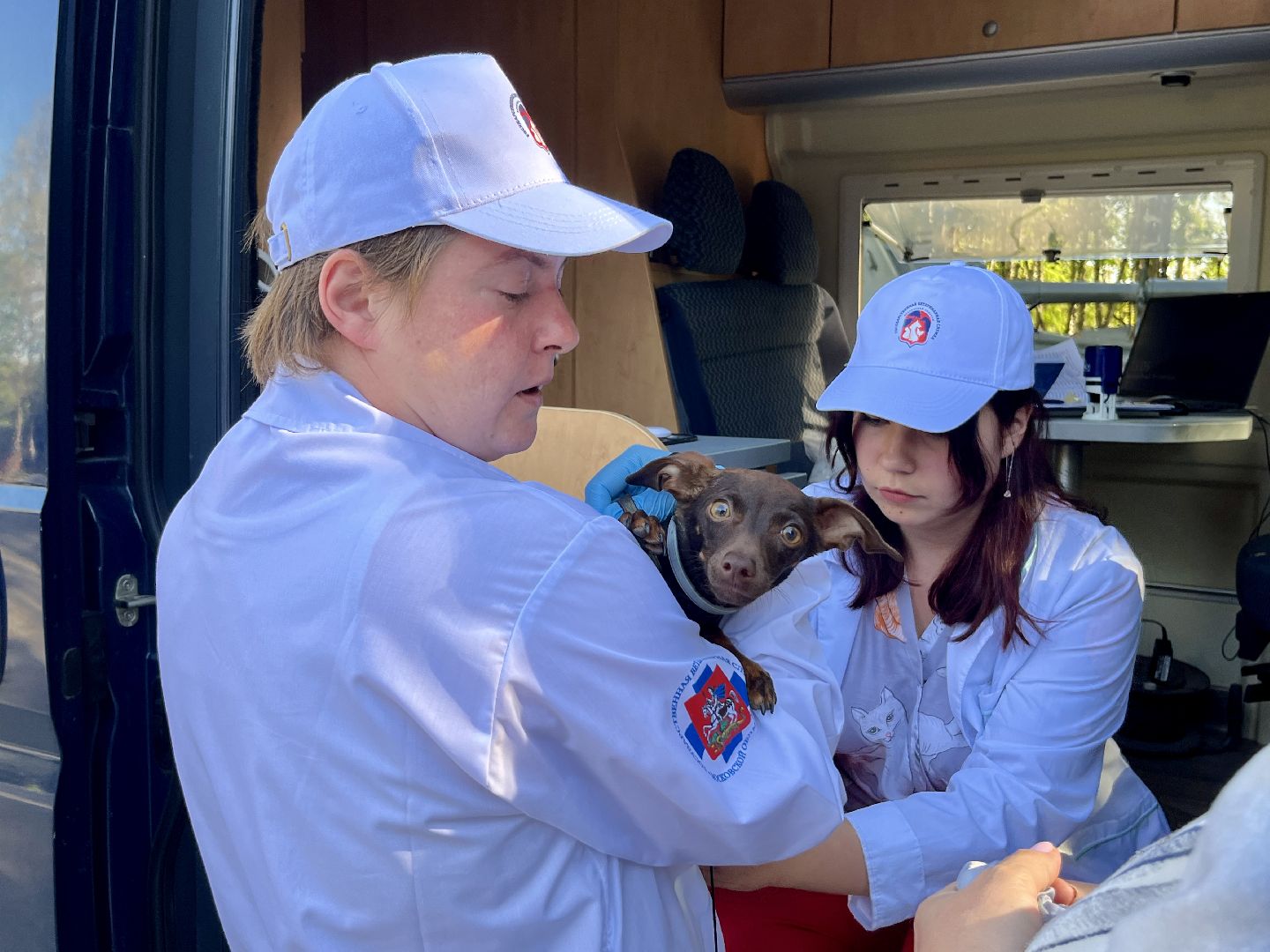 наро-фоминск, наро-фоминский городской округ, ветеринарная служба, вакцинация животных, чипирование домашних животных,