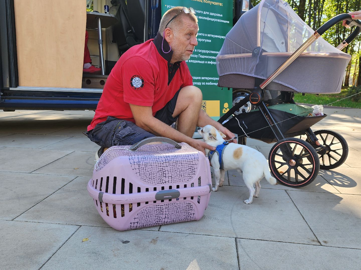 наро-фоминск, наро-фоминский городской округ, ветеринарная служба, вакцинация животных, чипирование домашних животных,