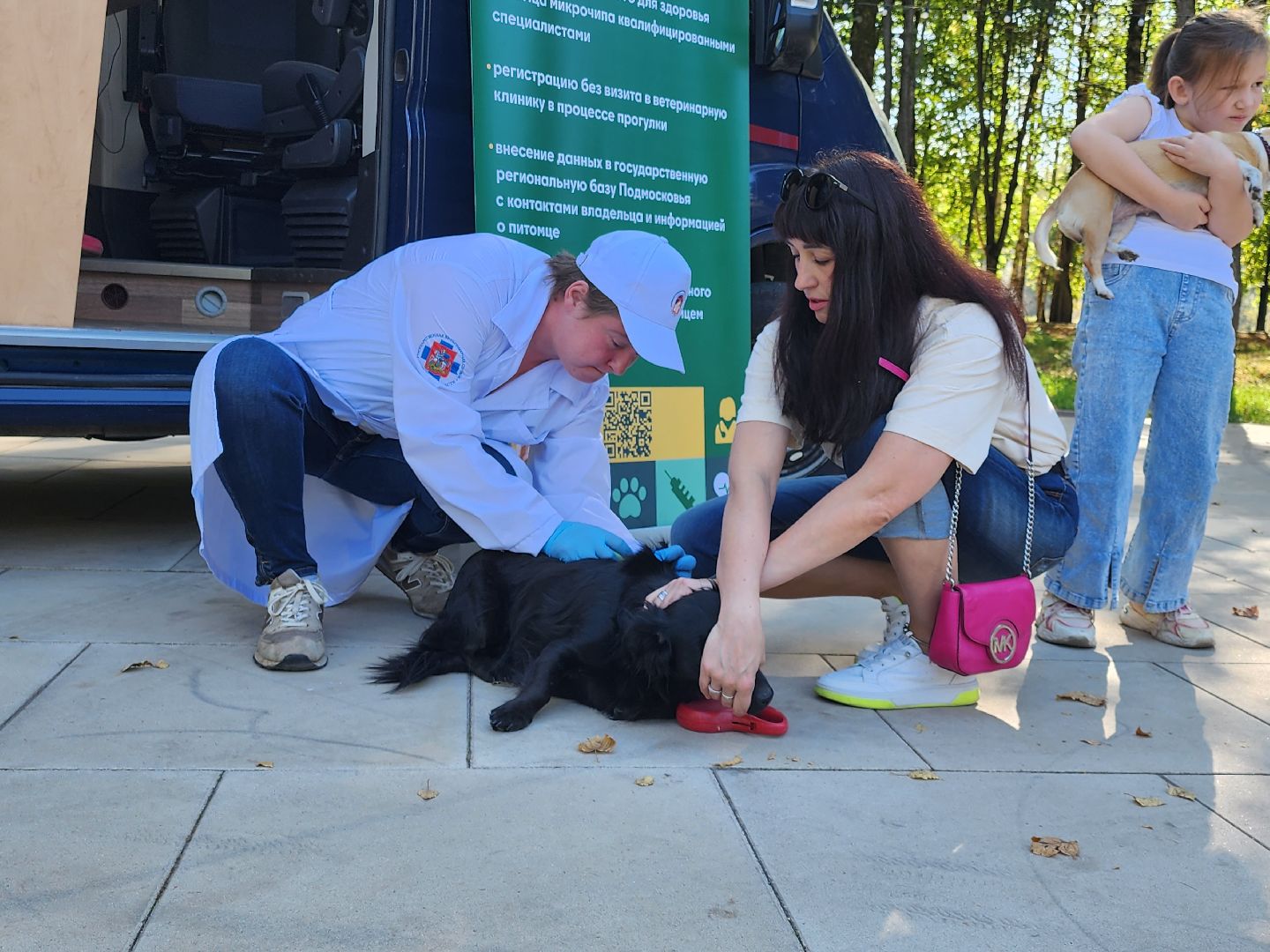 наро-фоминск, наро-фоминский городской округ, ветеринарная служба, вакцинация животных, чипирование домашних животных,