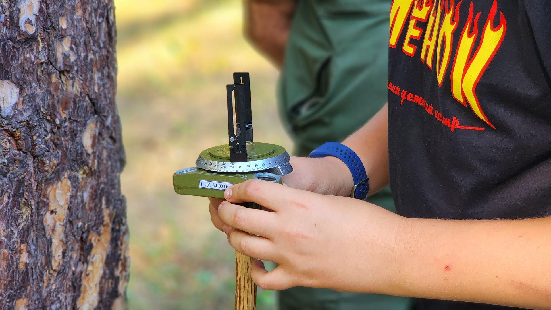зеленый дом, школьное лесничество, протвино, подготовка к областному слету, русский лес,