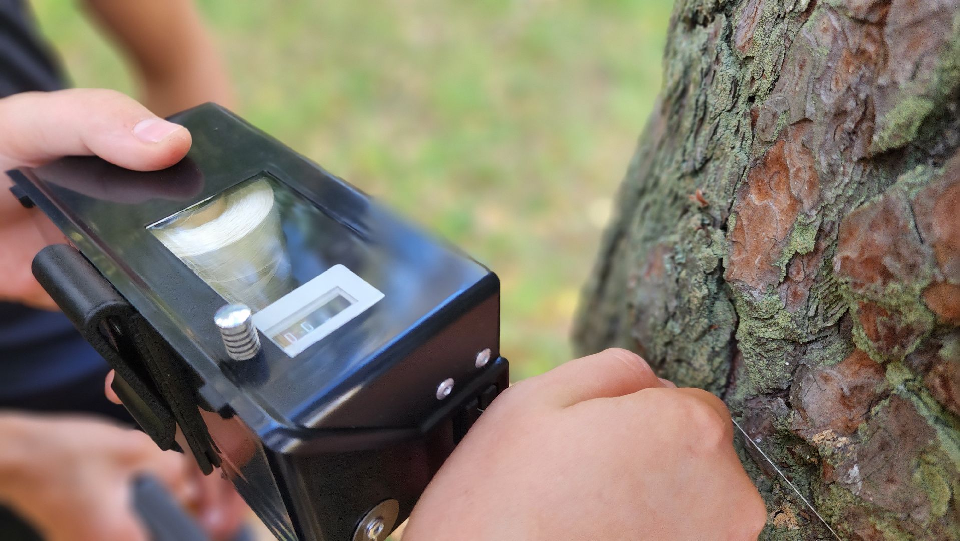 зеленый дом, школьное лесничество, протвино, подготовка к областному слету, русский лес,