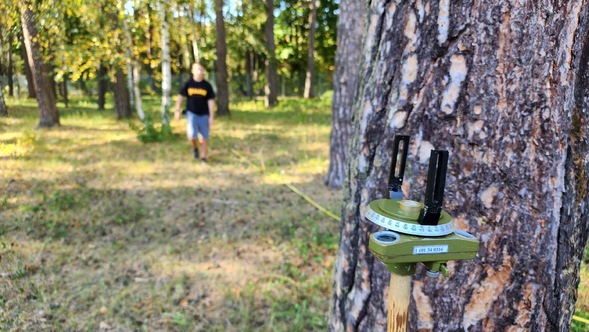 зеленый дом, школьное лесничество, протвино, подготовка к областному слету, русский лес,