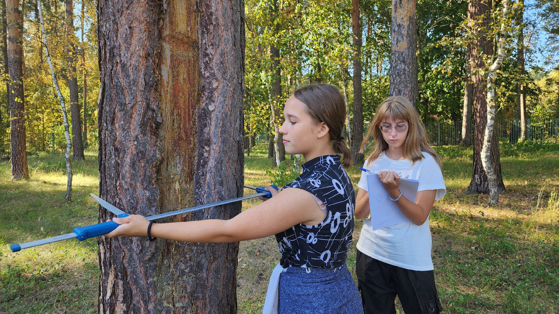 зеленый дом, школьное лесничество, протвино, подготовка к областному слету, русский лес,