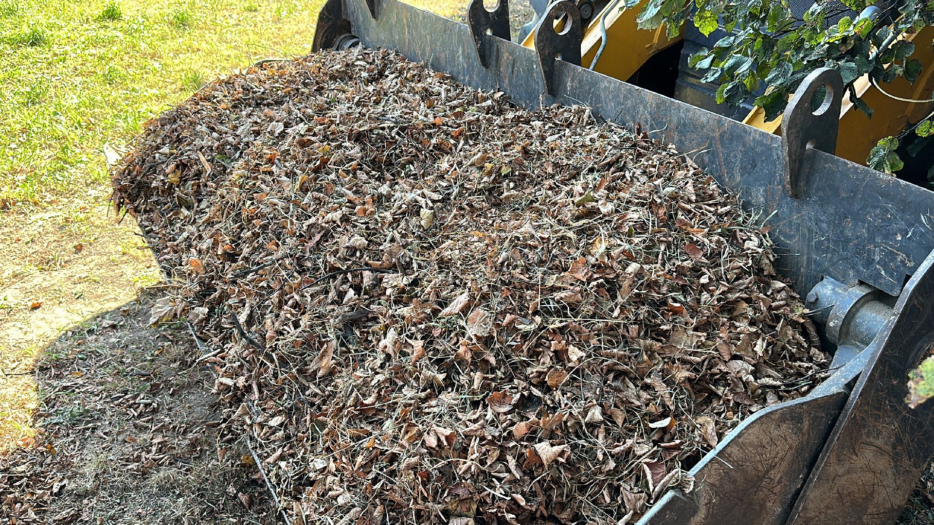 Клин, общество, благоустройство, уборка города,