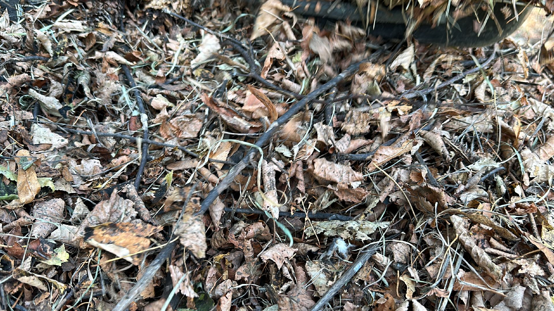 Клин, общество, благоустройство, уборка города,