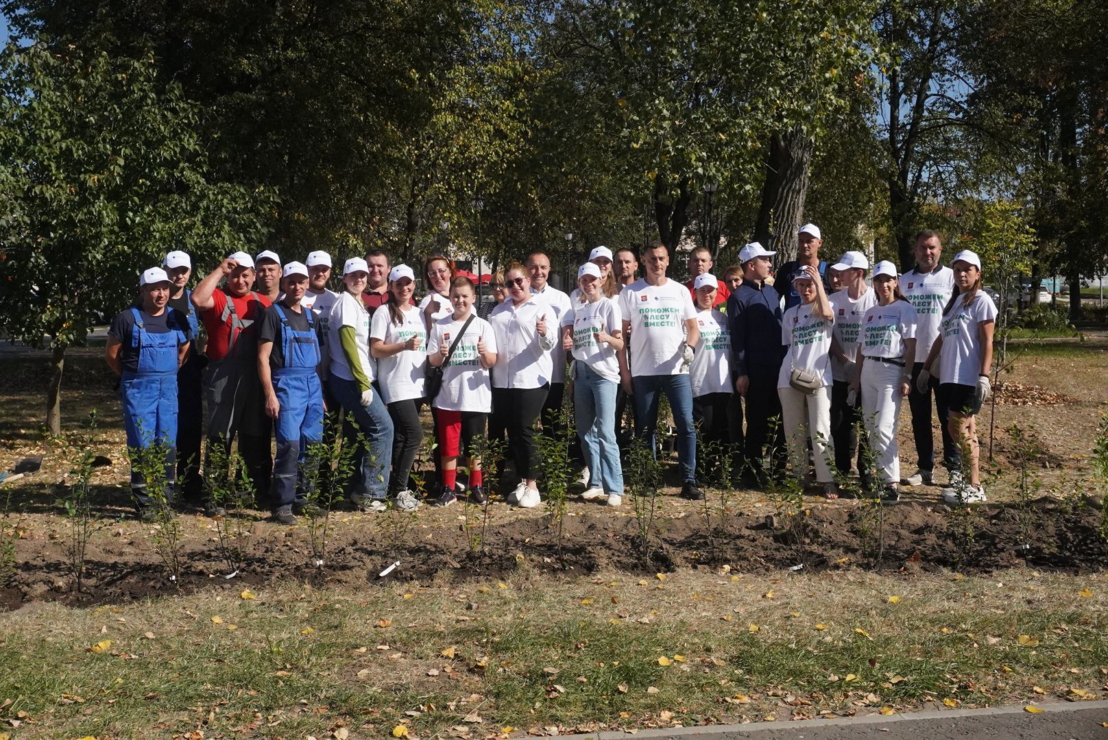 Павловский Посад, город округ павловский посад, люди, лес, акция, деревья,