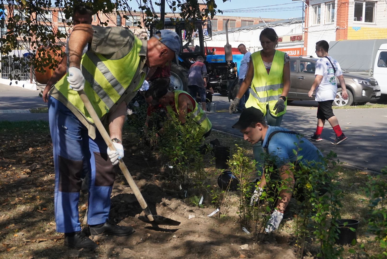 Павловский Посад, город округ павловский посад, люди, лес, акция, деревья,
