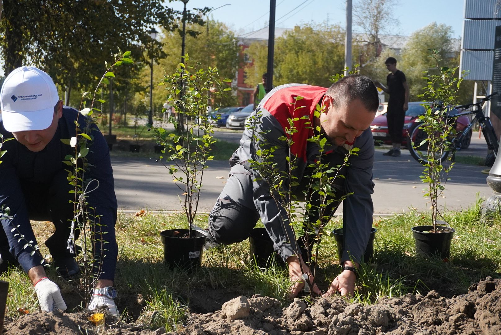 Павловский Посад, город округ павловский посад, люди, лес, акция, деревья,