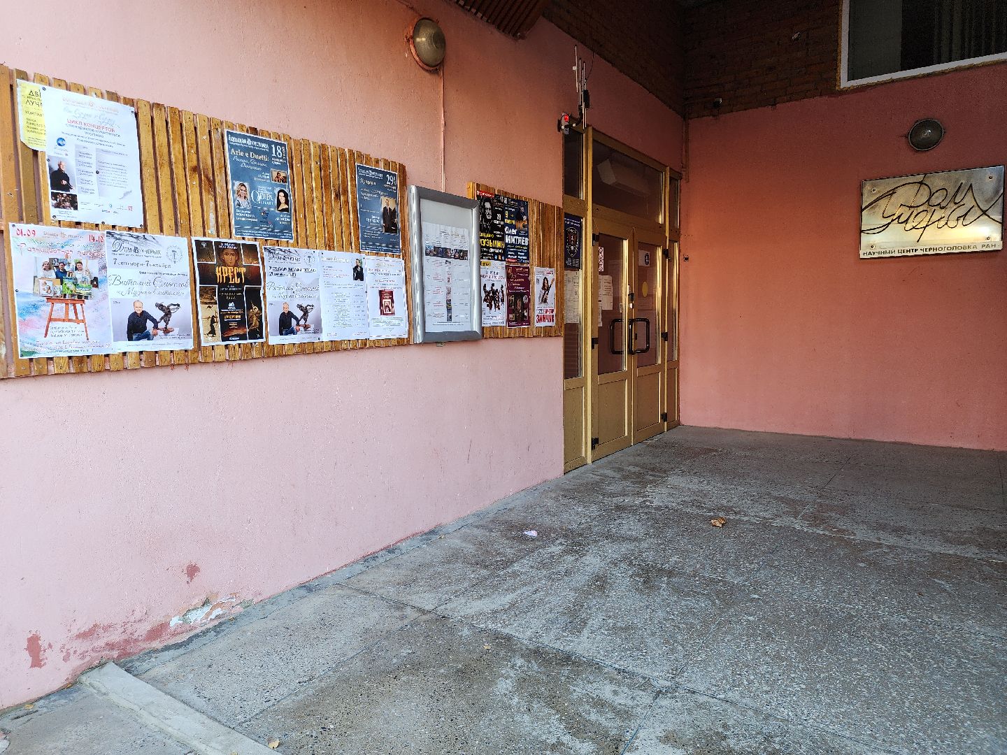 Черноголовка, Кинофестиваль, Короткий метр, Культура,