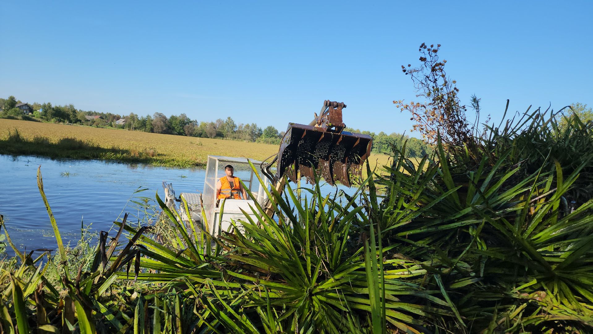 Егорьевск, святое озеро, Подмосковье, Московская область, экология, чистые пруды,