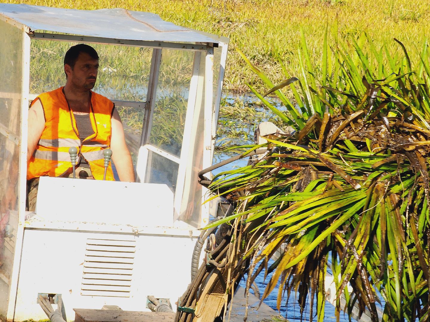 Егорьевск, святое озеро, Подмосковье, Московская область, экология, чистые пруды,