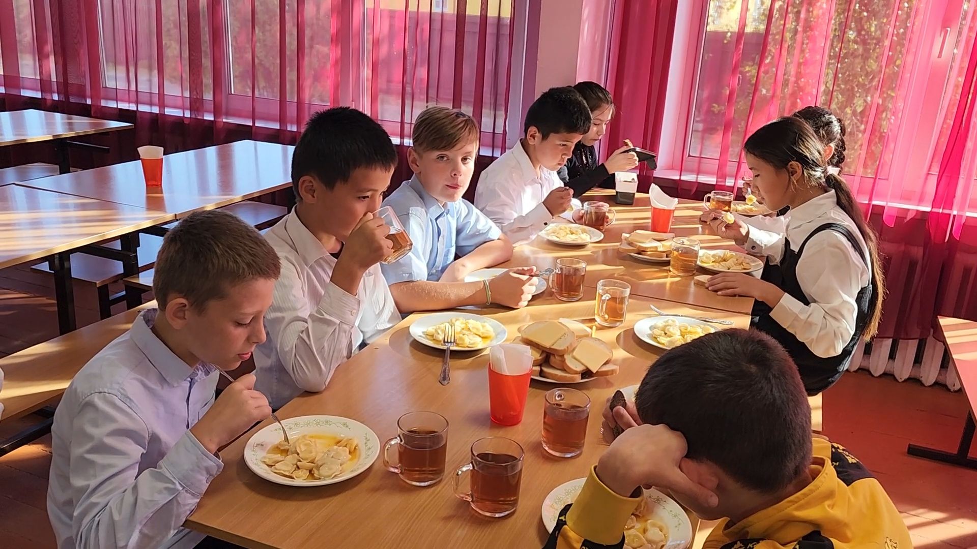 Заворово, Раменское, Заворовская СОШ, Питание в школе,