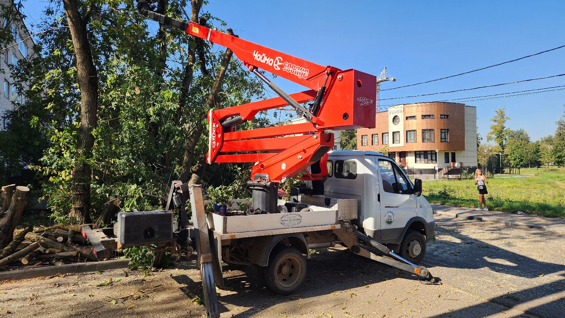 санитарная обрезка деревьев, коммунальные службы, порубочный билет, Старая Купавна, Богородский городской округ,
