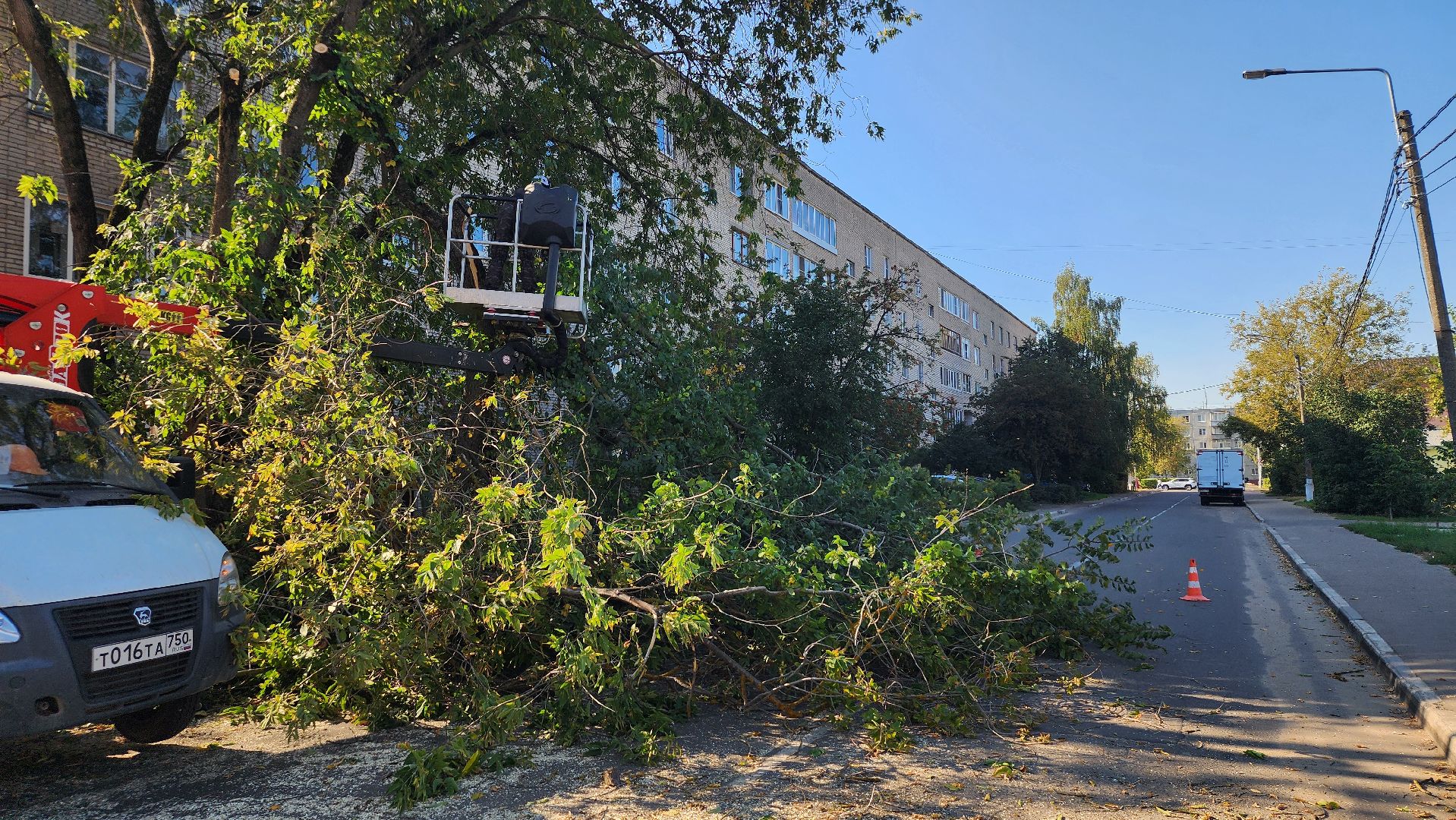 санитарная обрезка деревьев, коммунальные службы, порубочный билет, Старая Купавна, Богородский городской округ,