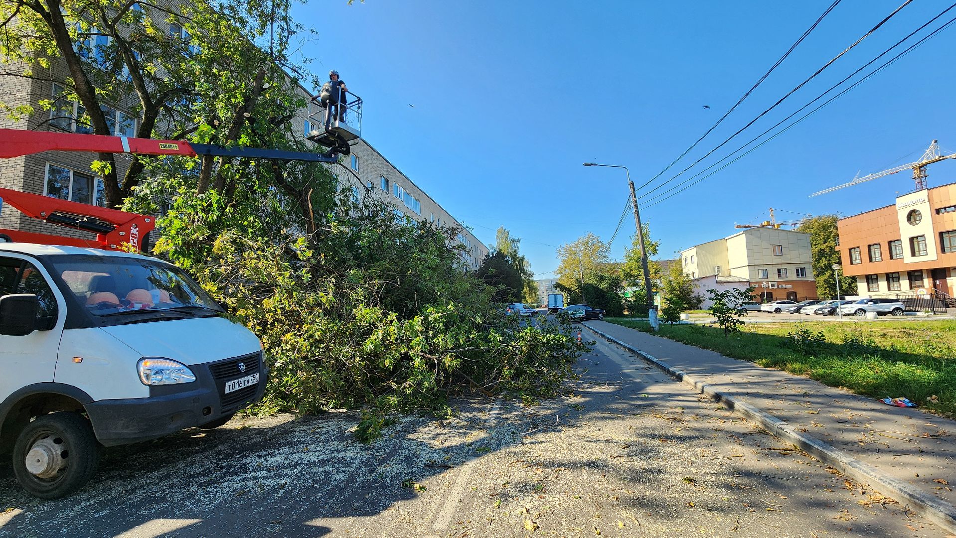 санитарная обрезка деревьев, коммунальные службы, порубочный билет, Старая Купавна, Богородский городской округ,