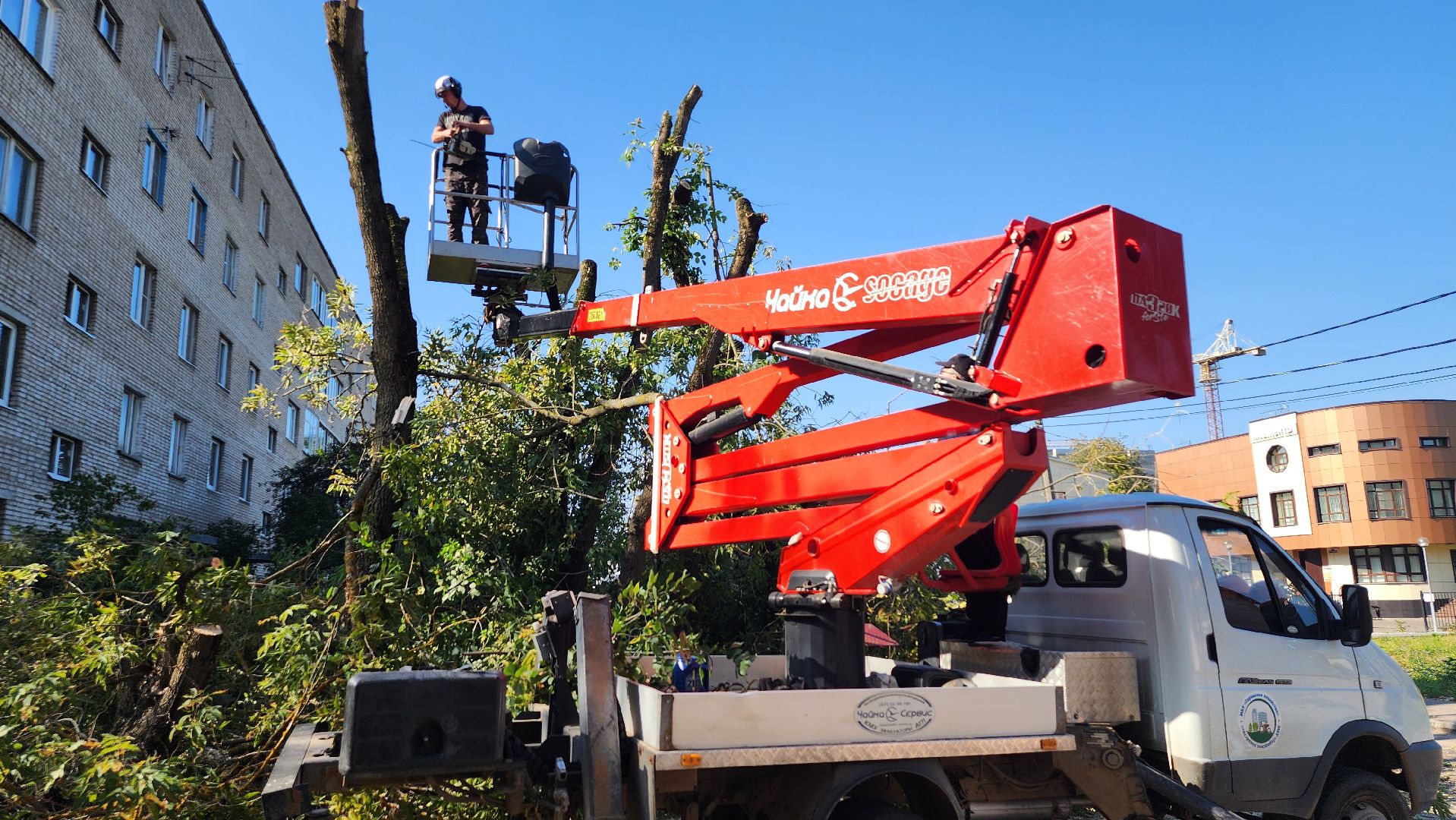 санитарная обрезка деревьев, коммунальные службы, порубочный билет, Старая Купавна, Богородский городской округ,