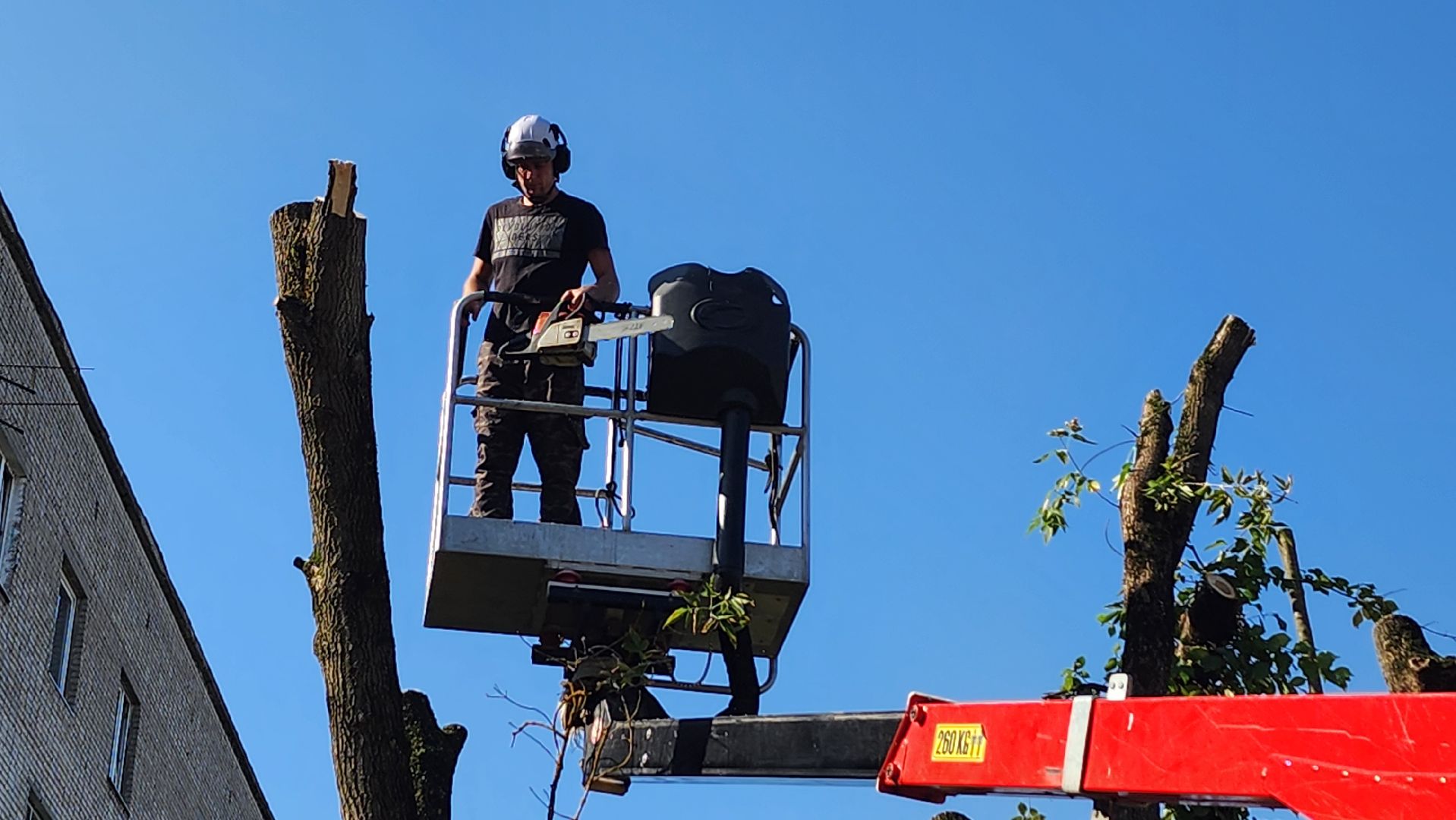 санитарная обрезка деревьев, коммунальные службы, порубочный билет, Старая Купавна, Богородский городской округ,