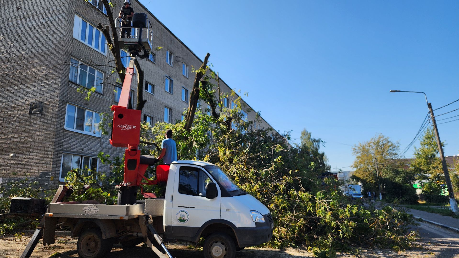 санитарная обрезка деревьев, коммунальные службы, порубочный билет, Старая Купавна, Богородский городской округ,